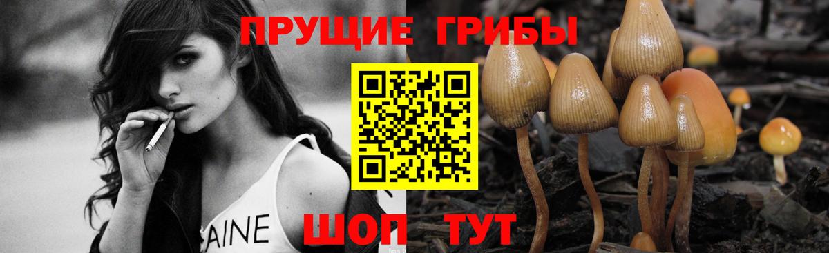 купить   Псилоцибиновые грибы мухоморы  Галлюциногенные грибы ЛСД  Вход с VPN  Кольчугино 
